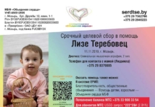 Лизе нужна помощь!