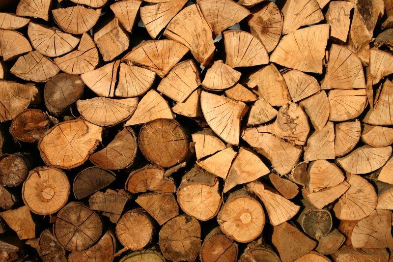 За нарушения в лесном хозяйстве и деревообработке в Могилевской области возбуждено 6 уголовных дел