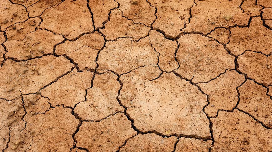 Ущерб от засухи в мире в первой половине 2022 года составил $13,2 млрд