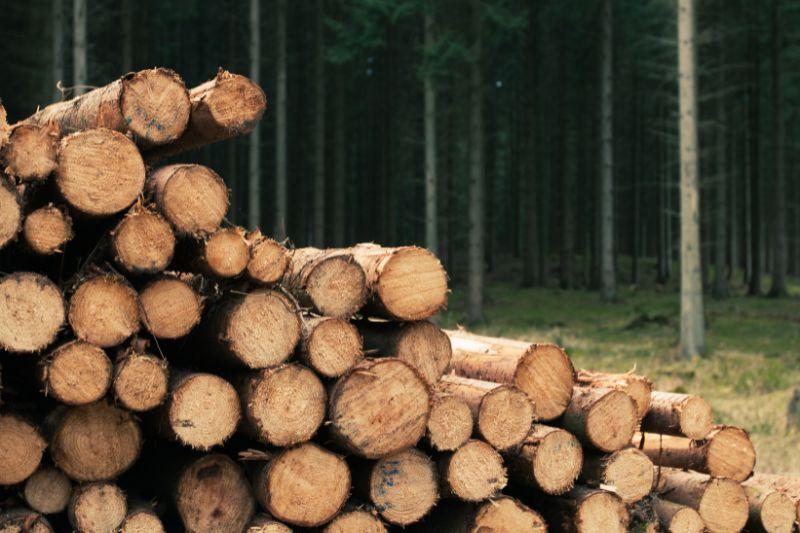 Запас древесины к отопительному сезону на складах лесхозов Беларуси составляет 1 млн куб.м