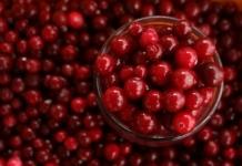 Собирать клюкву в Могилевской области разрешено с 12 сентября