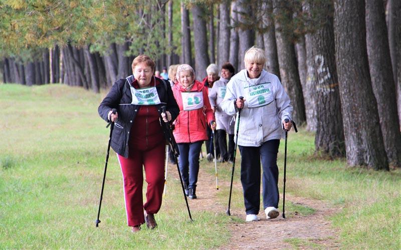 Марафон по скандинавской ходьбе собрал людей старшего возраста в урочище Боровец