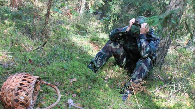 За сутки в лесах Беларуси потерялись пять человек