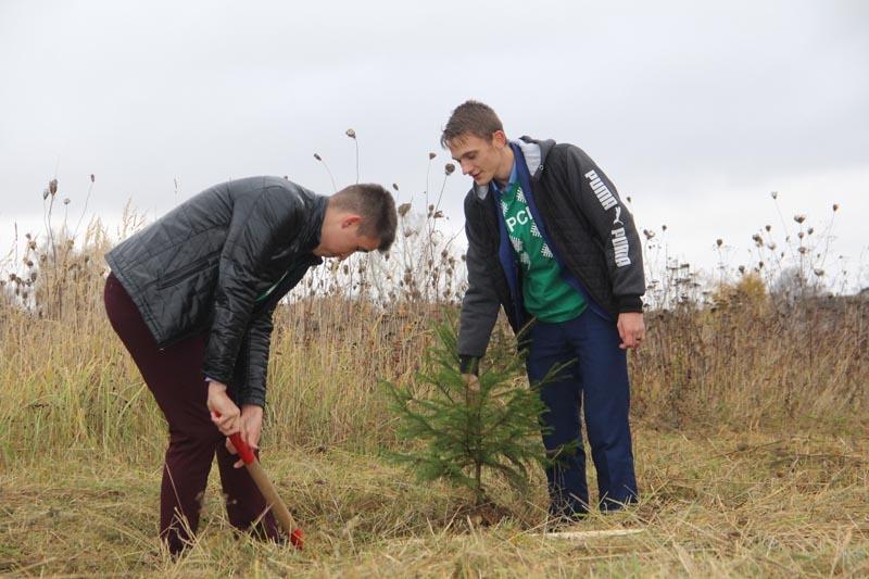 В рамках осеннего месячника по озеленению в Костюковичах посадили аллею хвойных и лиственных деревьев