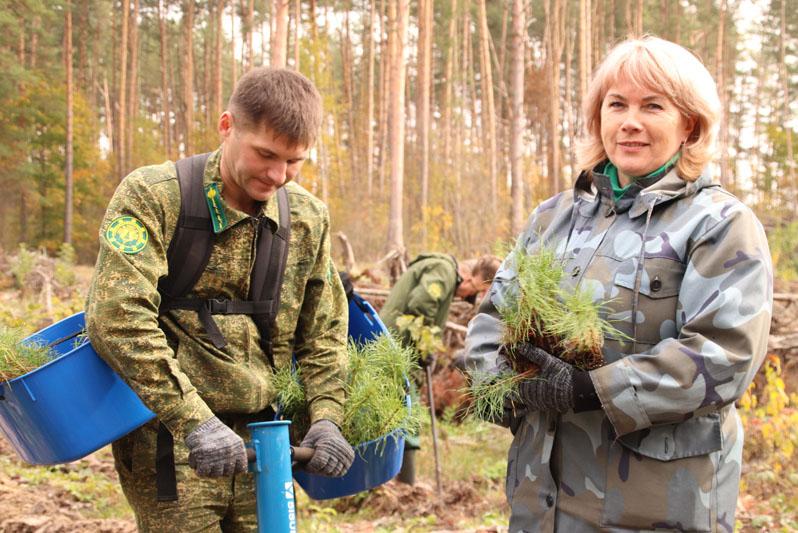 Костюковчане принимают активное участие в республиканской акции «Аднавім лясы разам»