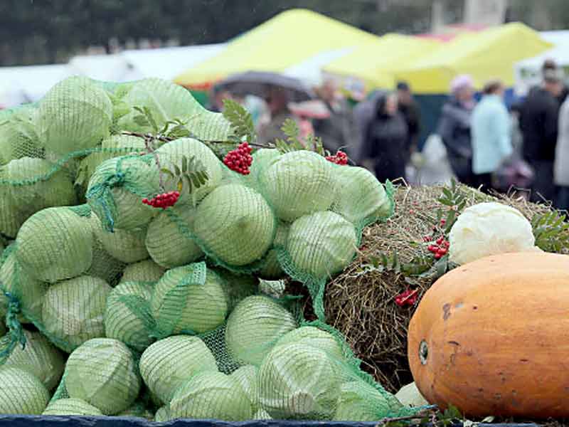 Закупаем урожай: сельскохозяйственная ярмарка развернется 22 октября возле районного Центра культуры