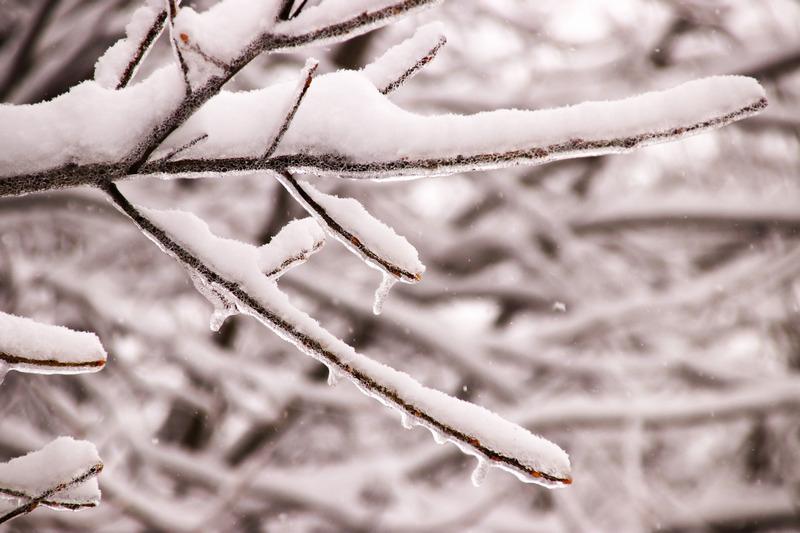 Фоторепортаж: город, деревья и дома в ледяном и снежном плену