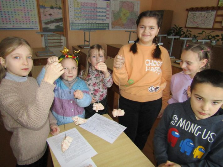 Экологическая акция "Покормите птиц зимой" прошла в Тупичинской средней школе Костюковичского района