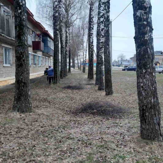 Работники Костюковичского жилкоммунхоза не прекращают работы по наведению порядка на земле