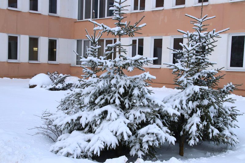 Как проходит уборка снега в Костюковичах