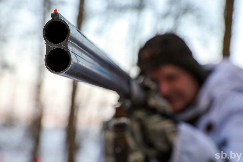 На 1 января 2023 года численность охотников в Беларуси составила 94,6 тысячи человек