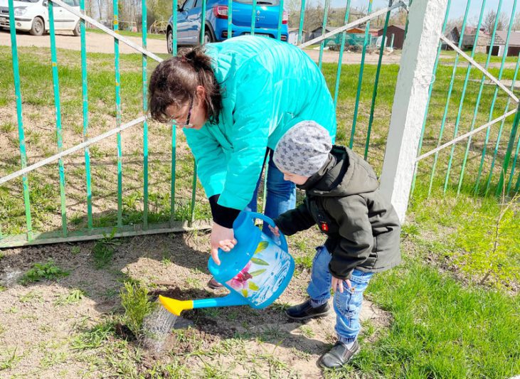 21 тую разных видов высадили на территории детского сада № 2 города Костюковичи