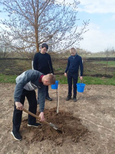 К акции «Сад надежды» присоединились учреждения образования Костюковичского района