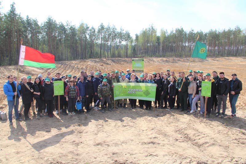 К республиканской акции "Неделя леса" присоединились в Костюковичском районе