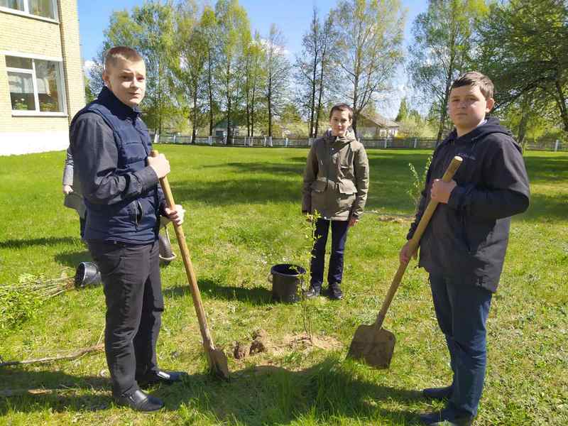 15 фруктовых деревьев украсят пришкольную территорию Белодубровской школы