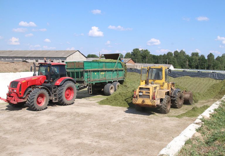Заготовка кормов для крупного рогатого скота из трав первого укоса проходит в Костюковичском районе