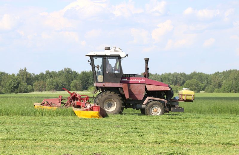 Заготовка кормов для крупного рогатого скота из трав первого укоса проходит в Костюковичском районе