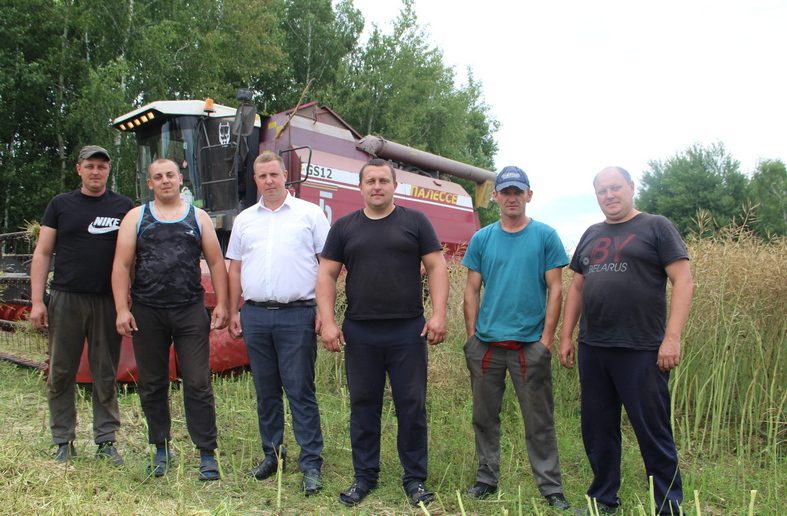 В Костюковичском районе приступили к уборке «черного золота» полей – рапса