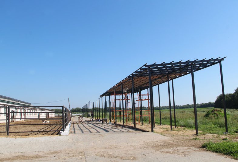 Костюковичские сельскохозяйственные предприятия активно взялись за строительство животноводческих объектов