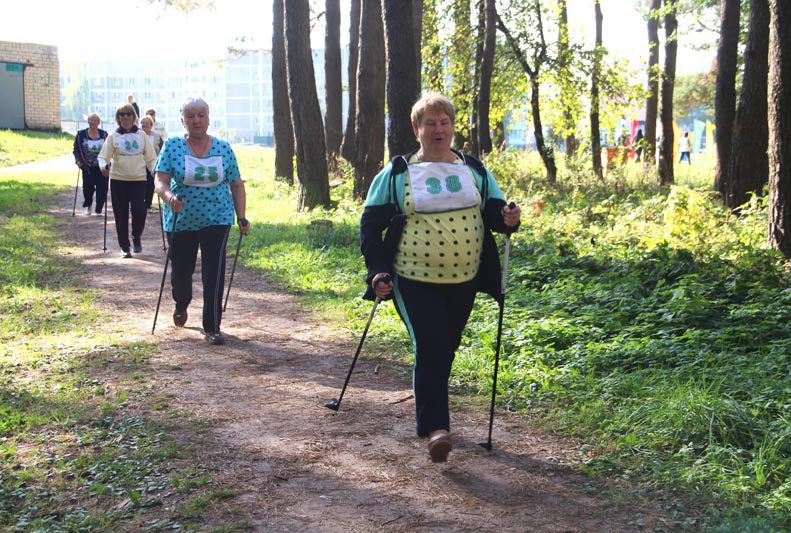 Веселые и энергичные. В урочище Боровец прошел марафон скандинавской ходьбы для пожилых людей «Костюковичская прогулка».
