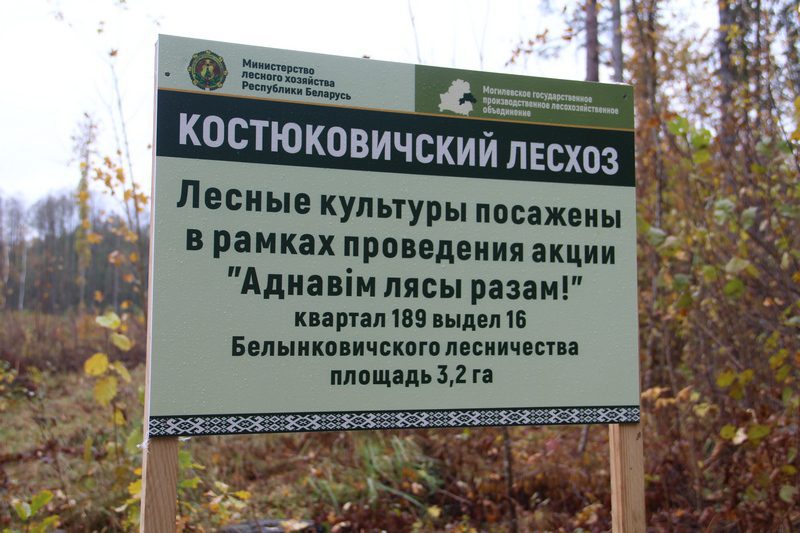 Костюковчане присоединились к акции «Аднавім лясы разам!»