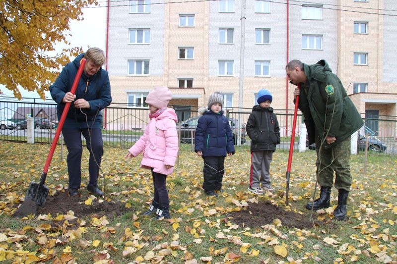 "Зубрята" посадили деревья на территории своего детского сада