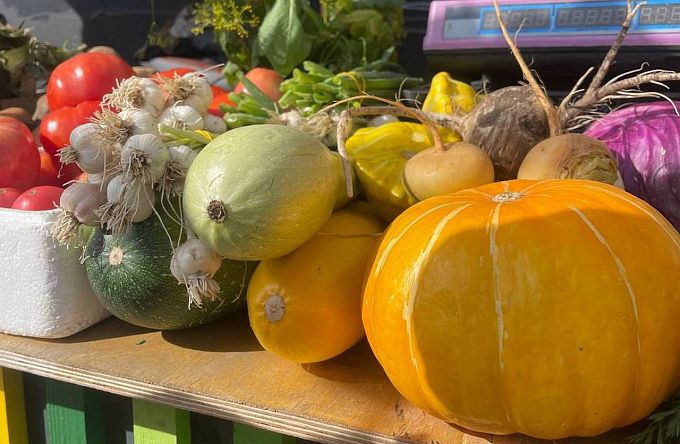 Закупаем урожай: 17 ноября возле районного Центра культуры будет работать сельскохозяйственная ярмарка