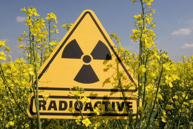 В Беларуси подготавливают проект указа о пункте захоронения радиоактивных отходов