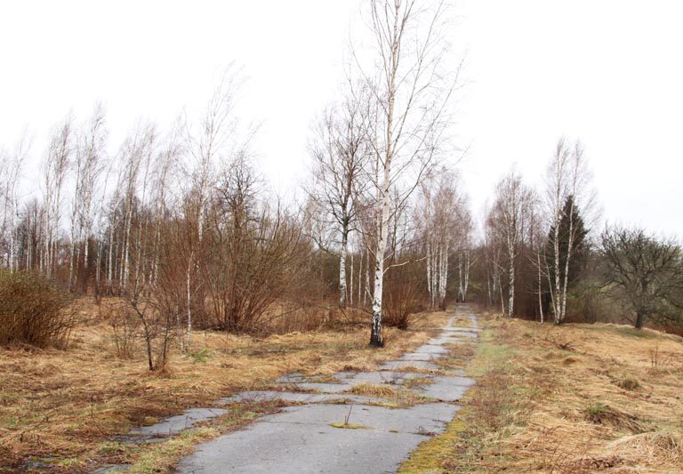После чернобыльской катастрофы некоторые деревни на Костюковщине захоронены. В их числе и Хотимск