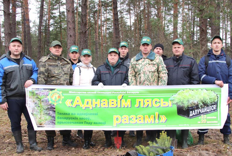 Трудовые коллективы Костюковичского района подключились к акции «Аднавім лясы разам»