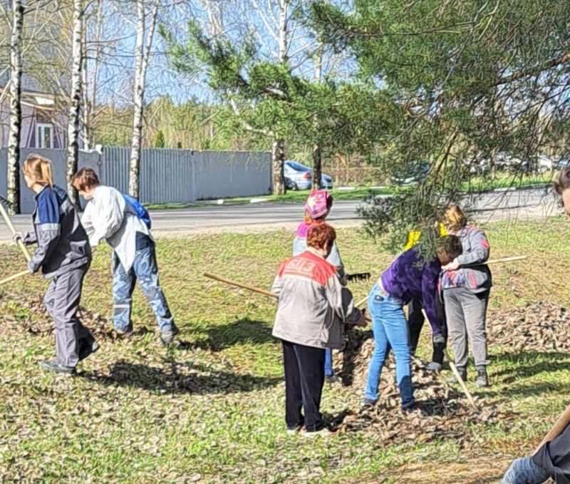 Трудовые коллективы Костюковичского района наводят порядок на закрепленных территориях