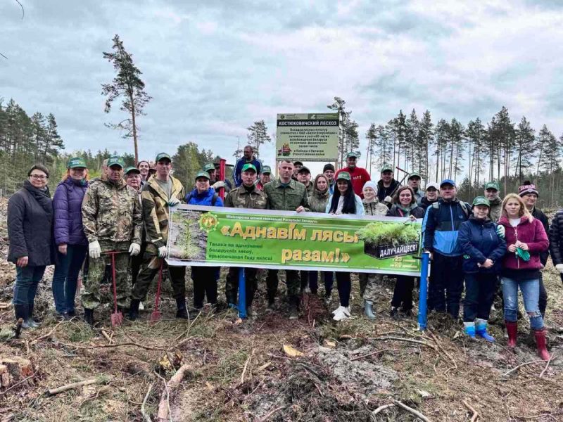 Работники ОАО «Белагропромбанк» приняли участие в акции «Аднавім лясы разам»