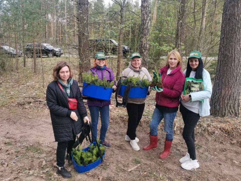 Работники ОАО «Белагропромбанк» приняли участие в акции «Аднавім лясы разам»