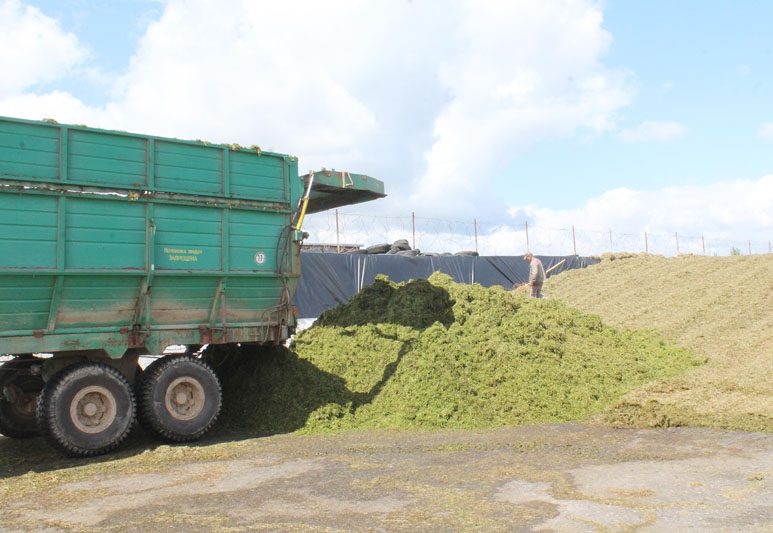 Первый укос: аграрии филиала № 1 «Цемагро» работают на уборке трав