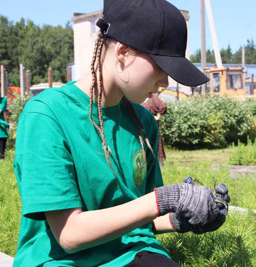 Студенческий отряд школьного лесничества «Лесной дозор» районной гимназии начал свою работу в Костюковичском лесхозе