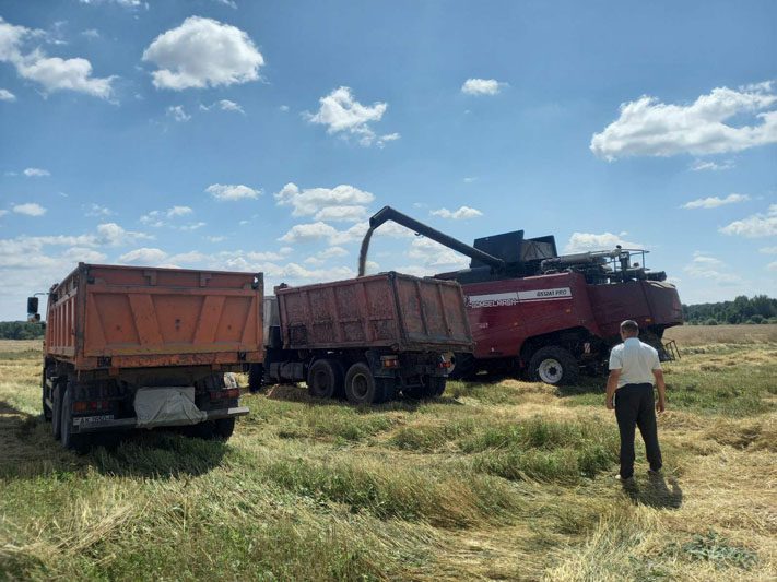 Соблюдаются ли на уборочной правила охраны труда: репортаж с костюковичских полей