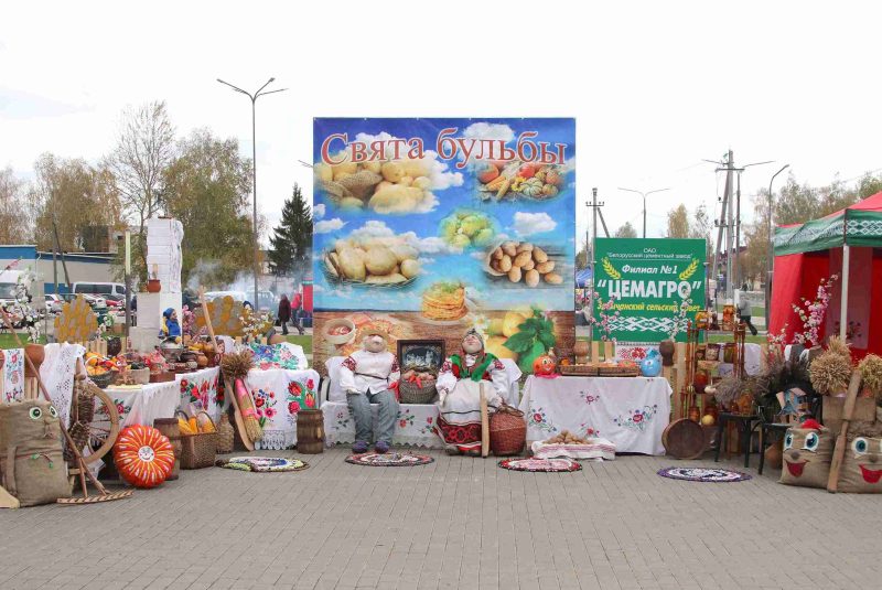 ФОТОФАКТ: Районный фестиваль-ярмарка "Дожинки-2024" прошел в Костюковичах