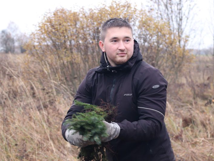 Костюковчане и жители сельской местности продолжают восстанавливать лес