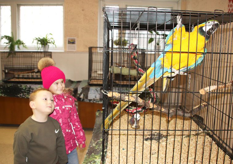 Костюковчан приглашают прикоснуться к «Миру больших попугаев»