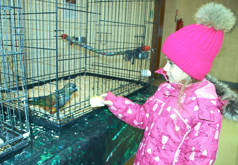 Костюковчан приглашают прикоснуться к «Миру больших попугаев»