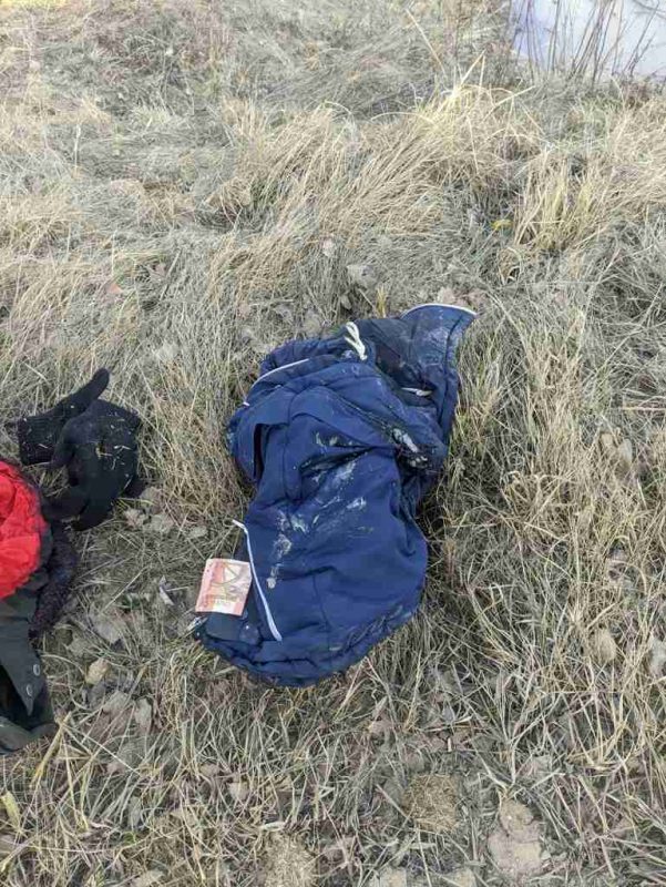 Тушили куртками, водой и кока-колой: пожар в Бобруйском районе