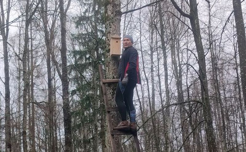 Самые лучшие домики для пернатых сделали в Тупичинской средней школе