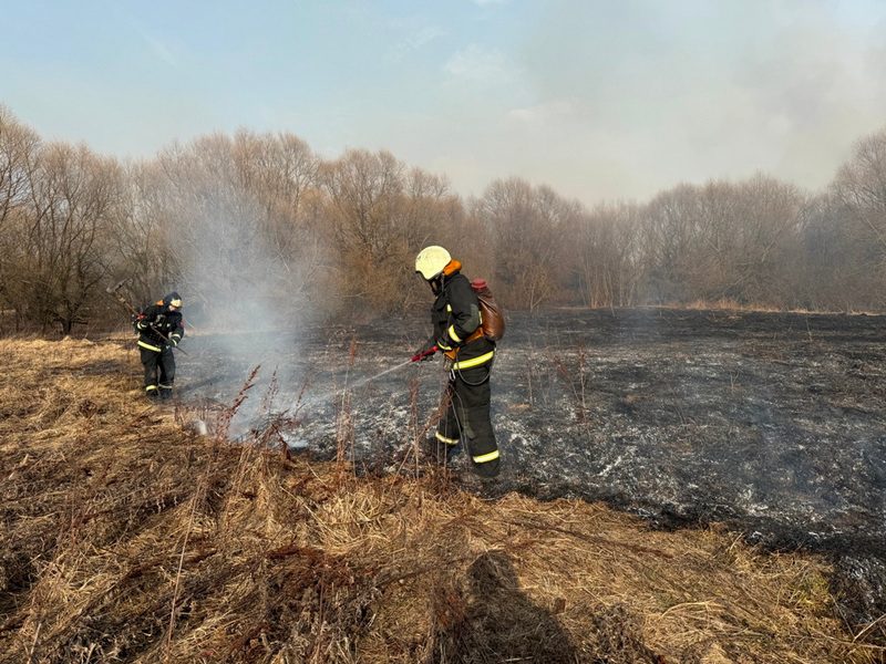 Спасатели Костюковичского РОЧС призывают не поджигать сухую траву