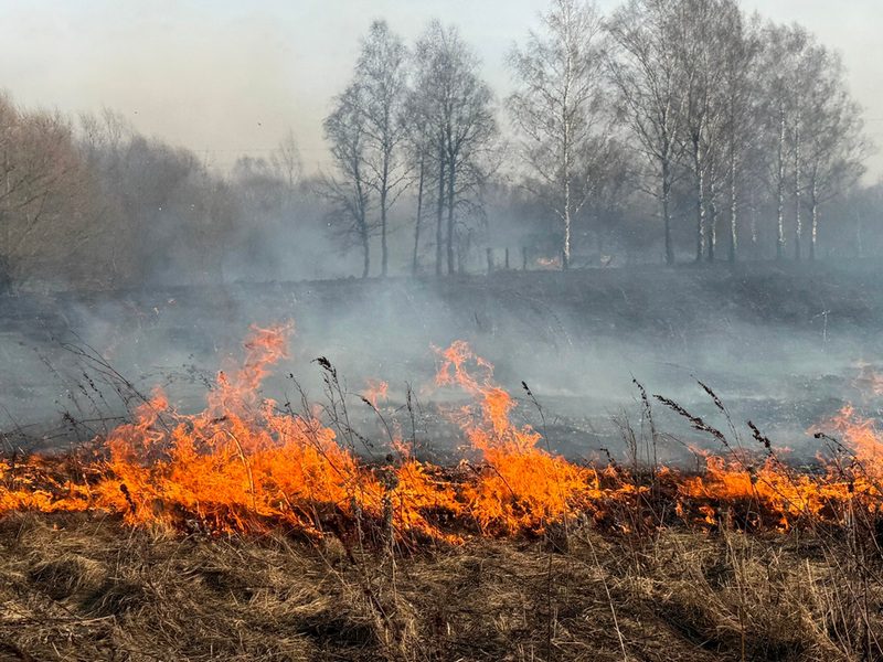 Спасатели Костюковичского РОЧС призывают не поджигать сухую траву