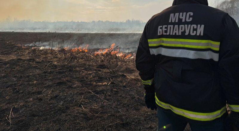 Спасатели Костюковичского РОЧС призывают не поджигать сухую траву