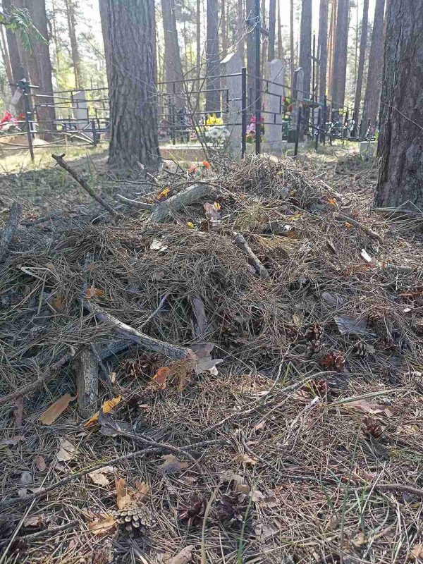 Светлая память и чистая совесть: сельская староста - о наведении порядка на кладбищах района