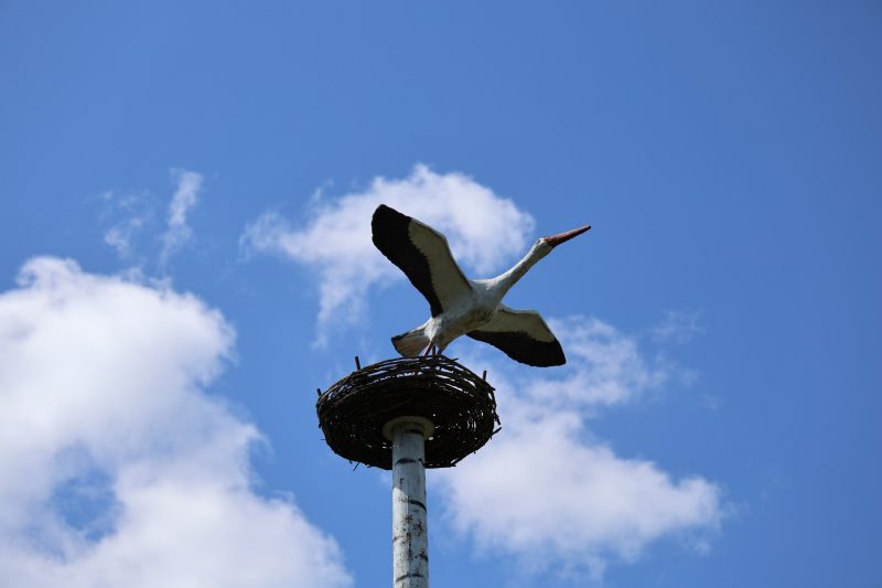 Учащиеся детской школы искусств выступили на сцене районного Центра культуры с отчетным концертом