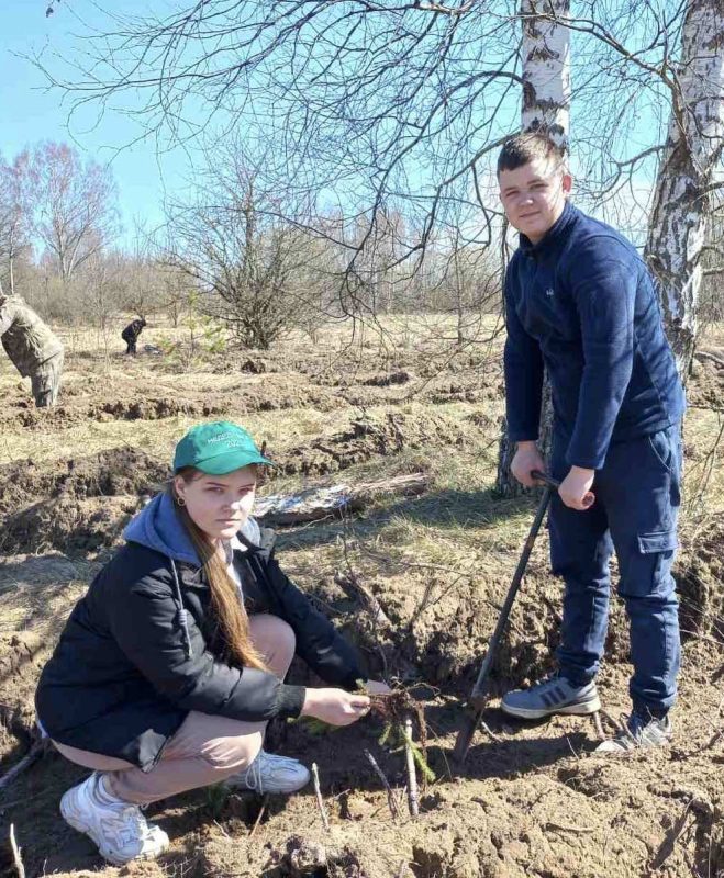 К добровольной общественной акции «Дай лесу новае жыццё!» присоединились школьники Белодубровской средней школы