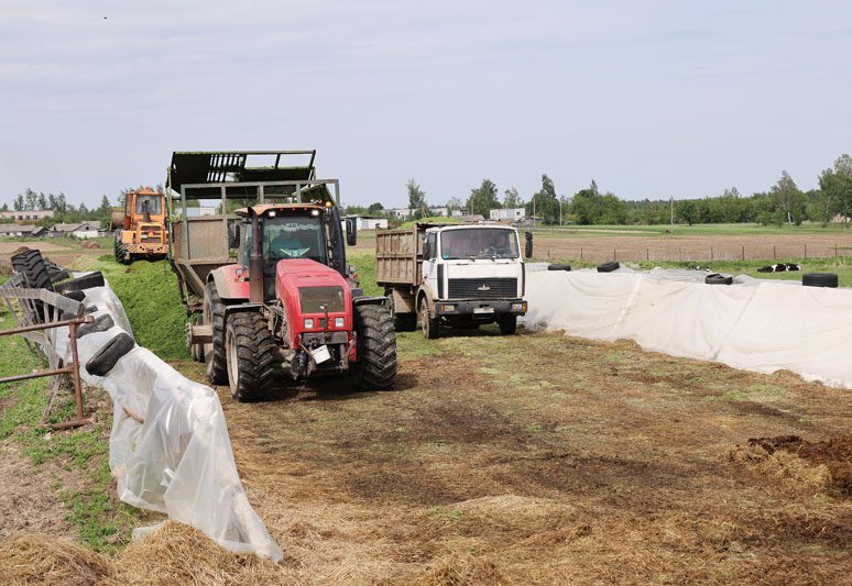 В Костюковичском районе активно идет заготовка кормов из трав первого укоса