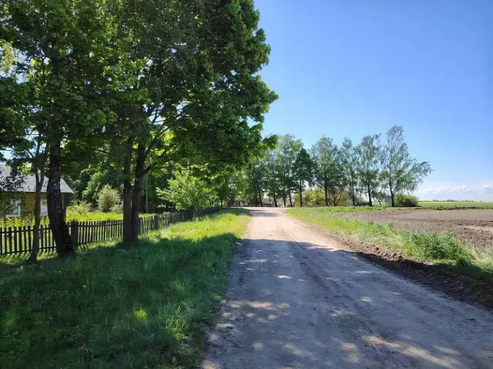 Что творится с погодой: каким будет лето 2025 в Беларуси после аномально теплой зимы